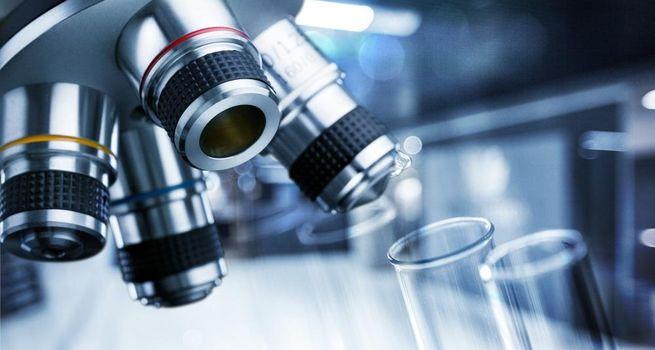 Is MedPal AI Stock a Hidden HealthTech Opportunity in 2026?
