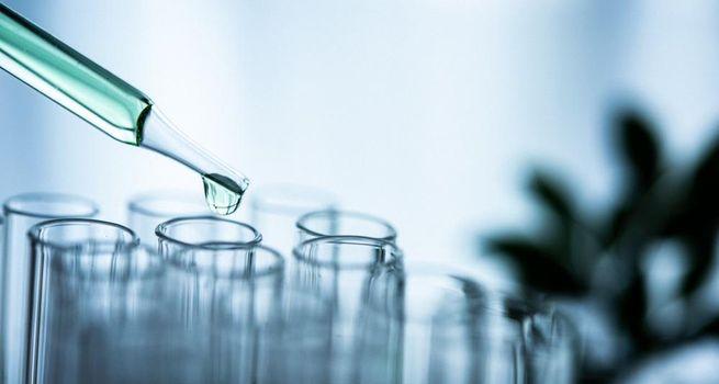 ANGLE Reports FY2024 Results with Narrowed Loss and Continued Focus on Pharma Collaborations
