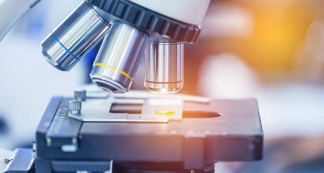 Will Clinical Progress Drive Ondine’s Future Growth?