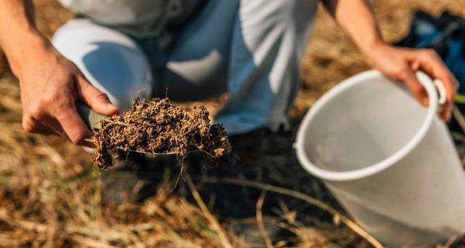 Why is Fevara plc focusing on high-margin feed supplements?
