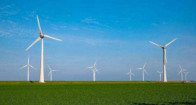 Why Are Investors Watching PetroTal Energy Shares Closely?