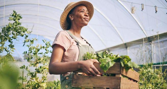 UK Agri-Tech Stock Alert - Light Science Technologies (LST) Surges 13%: Is This UK Small-Cap Set for Explosive Growth?