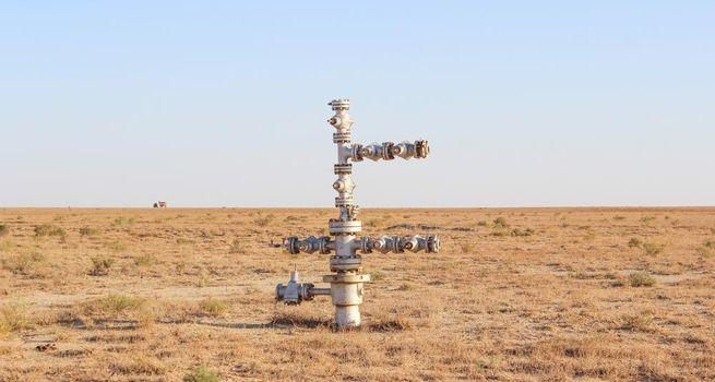Should Investors Watch Altyngold Plc?