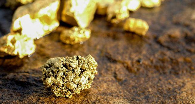 What’s Driving the Rally in Wishbone Gold Shares?