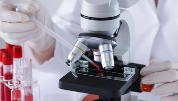 Cambium Bio (ASX:CMB) Slips as Cambium Bio Investors Watch for Next Signal